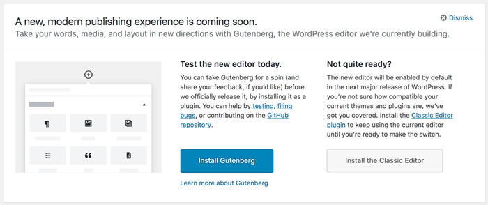 Gutenberg WP Options