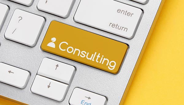 Webmaster consultations